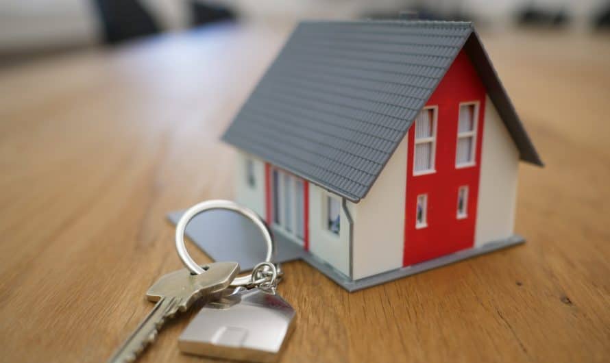 Investissement immobilier pour primo-accédants : conseils et astuces